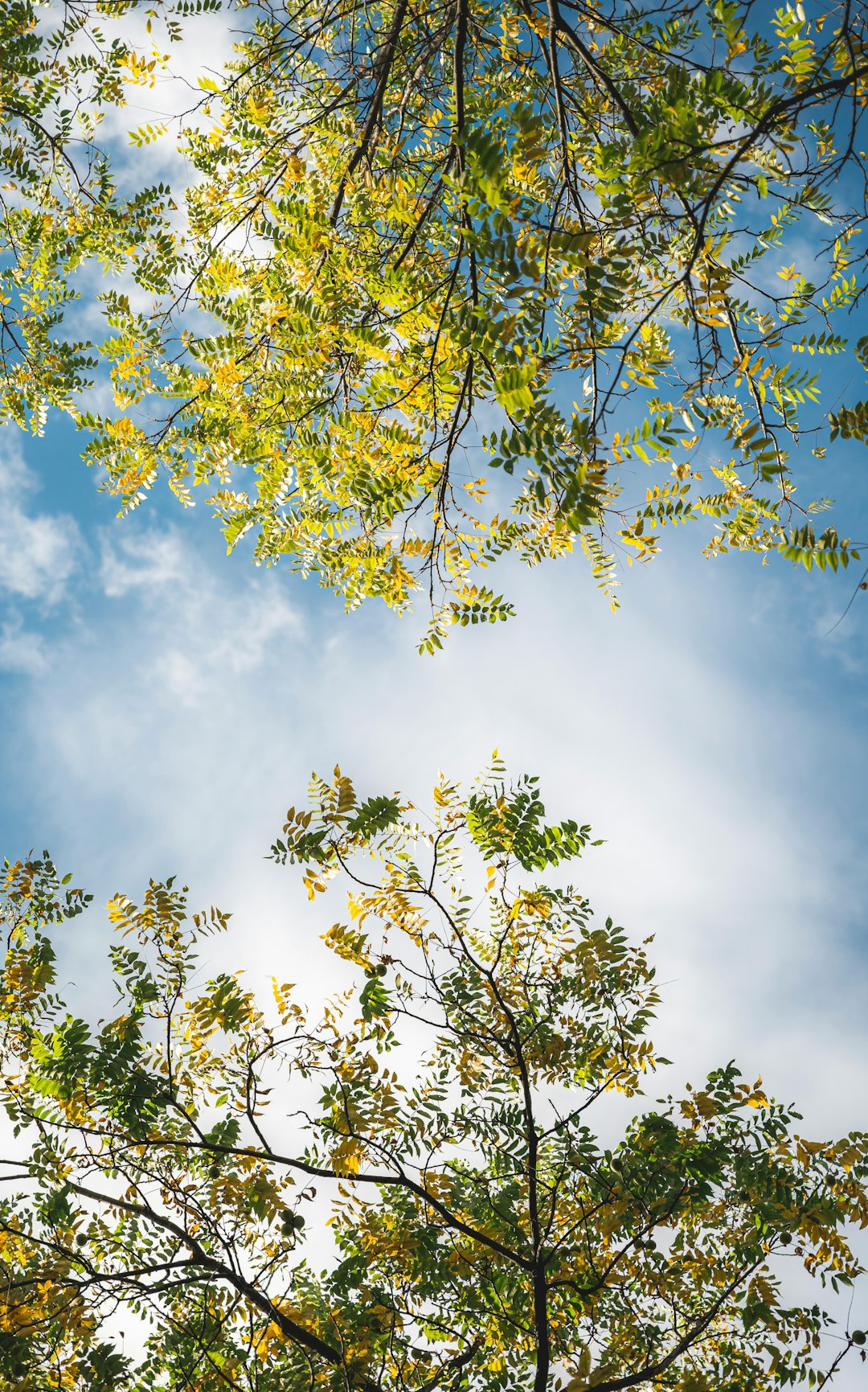 Goal Setting Framework